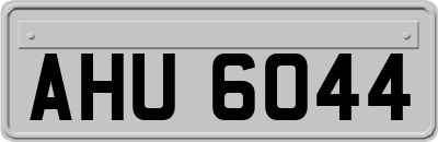 AHU6044