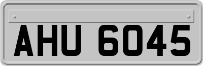 AHU6045