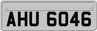 AHU6046