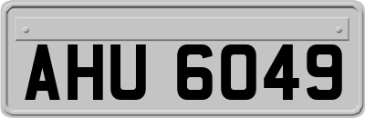 AHU6049