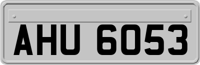 AHU6053