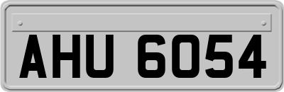 AHU6054