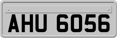 AHU6056