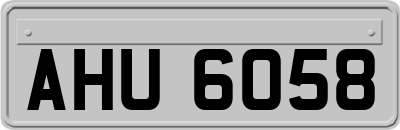 AHU6058
