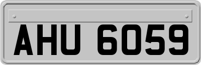 AHU6059