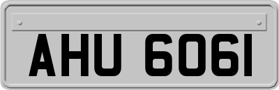 AHU6061