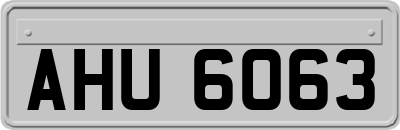 AHU6063
