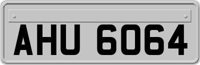 AHU6064