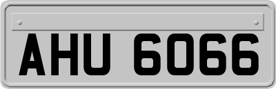 AHU6066