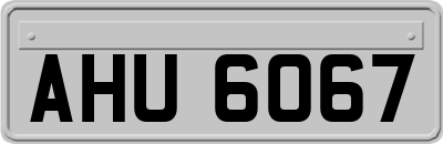 AHU6067