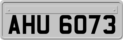 AHU6073