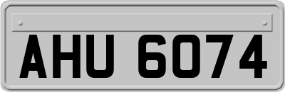 AHU6074