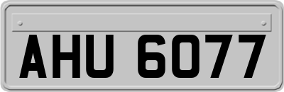 AHU6077