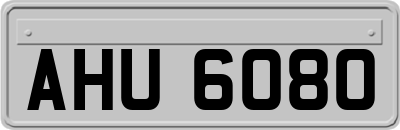 AHU6080