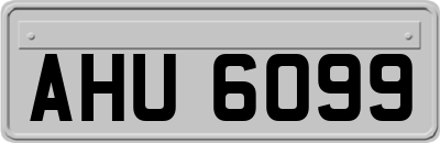 AHU6099
