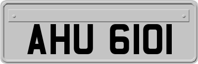 AHU6101