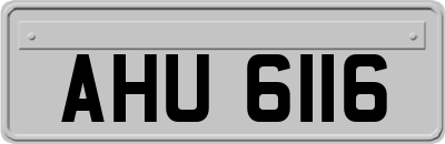 AHU6116