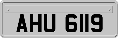 AHU6119