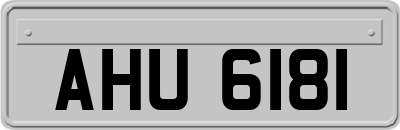 AHU6181