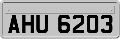 AHU6203