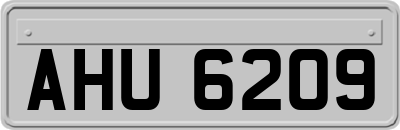 AHU6209