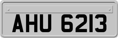 AHU6213