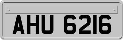 AHU6216