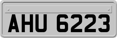 AHU6223