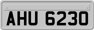AHU6230