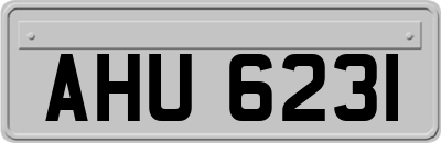 AHU6231