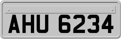 AHU6234