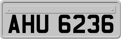 AHU6236
