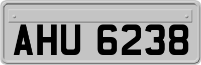 AHU6238