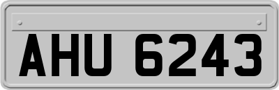 AHU6243