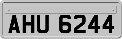 AHU6244