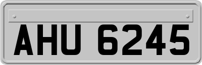 AHU6245