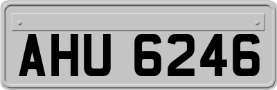 AHU6246