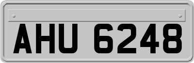 AHU6248