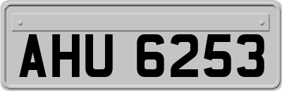 AHU6253