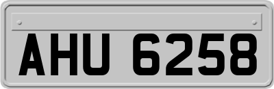 AHU6258