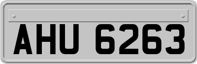 AHU6263