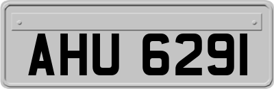 AHU6291