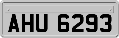 AHU6293