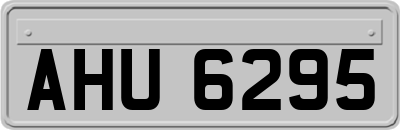 AHU6295