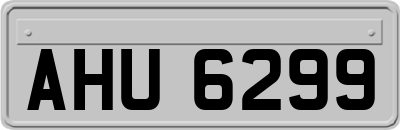 AHU6299