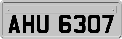 AHU6307