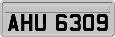 AHU6309
