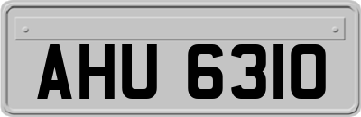 AHU6310