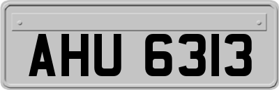 AHU6313