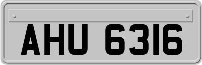 AHU6316